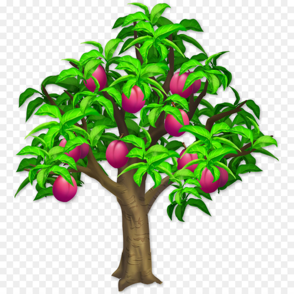 tree,shrub,pruning,plum,olive,cacao tree,branch,tree stump,peach,cherries,evergreen,houseplant,wiki,plant,flower,flowering plant,woody plant,leaf,fruit tree,fruit,malpighia,png