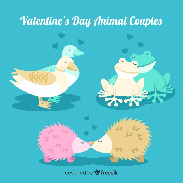 heart,love,animal,celebration,valentines day,valentine,couple,celebrate,kiss,duck,share,valentines,romantic,frog,beautiful,hug,love couple,day,pack,relationship
