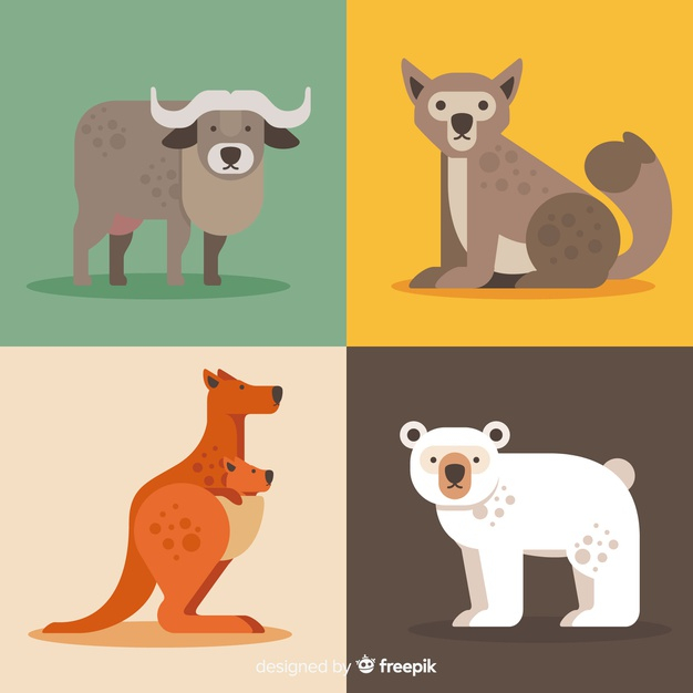 Free: Collection of cute cartoon wild animals Free Vector 