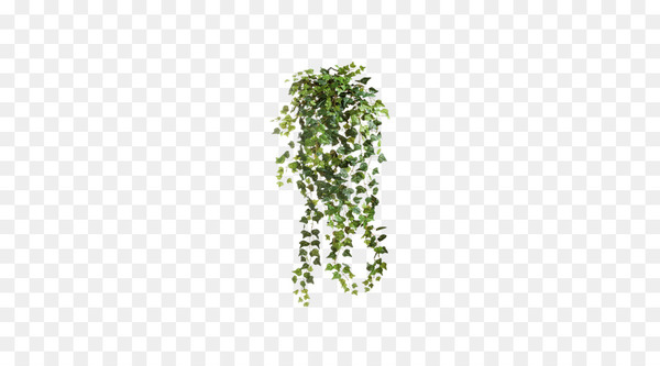 common ivy,vine,plant,pixel,shrub,encapsulated postscript,ivy,square,leaf,tree,green,line,grass,png