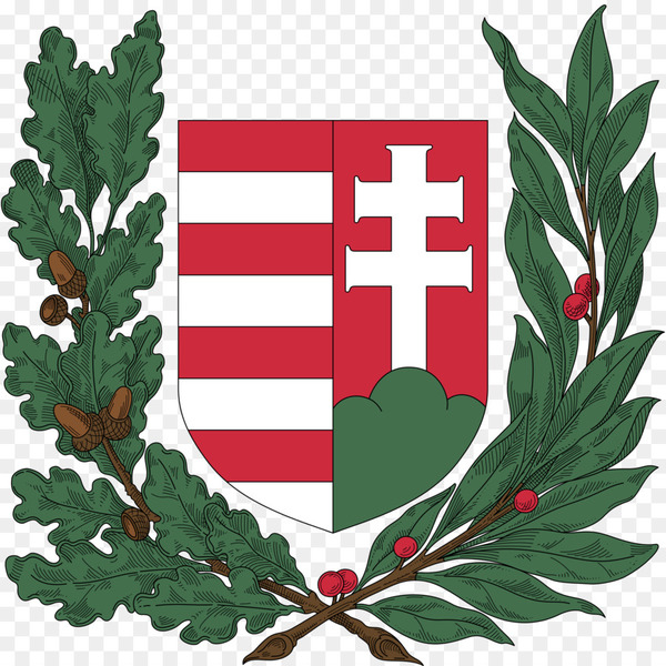 hungary,flag of hungary,war flag,coat of arms of hungary,flag,coat of arms of austriahungary,civil ensign,flag of austria,ensign,flag of myanmar,naval ensign,royaltyfree,leaf,plant,holly,flower,tree,plane,flowering plant,png