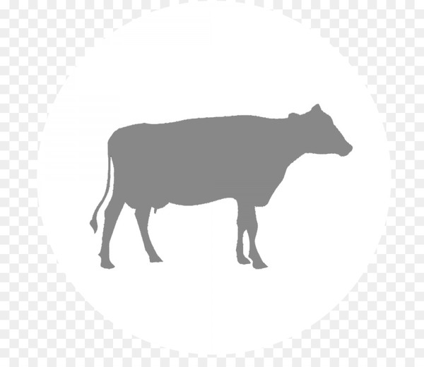 cattle,calf,dairy cattle,livestock,farm,agriculture,silhouette,dairy,dairy farming,beef cattle,bovine,wildlife,snout,terrestrial animal,cowgoat family,logo,working animal,png