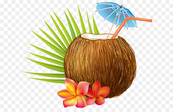 cocktail,coconut water,coconut milk,coconut,drink,coconut oil,stock photography,royaltyfree,drawing,arecaceae,fruit,png