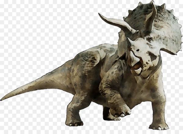 triceratops,tyrannosaurus,dinosaur,jurassic world,jurassic park,universal pictures,united states of america,film,triceratops t shirt,2018,jurassic world fallen kingdom,animal figure,sculpture,figurine,png