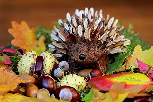 art,autumn,colorful,creative,decoration,hedgehog,leaves,Free Stock Photo