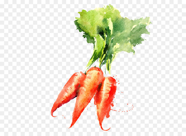 Cute Cartoon Vegetable Carrot, Car Drawing, Cartoon Drawing, Carrot Drawing  PNG Transparent Image and Clipart for Free Download