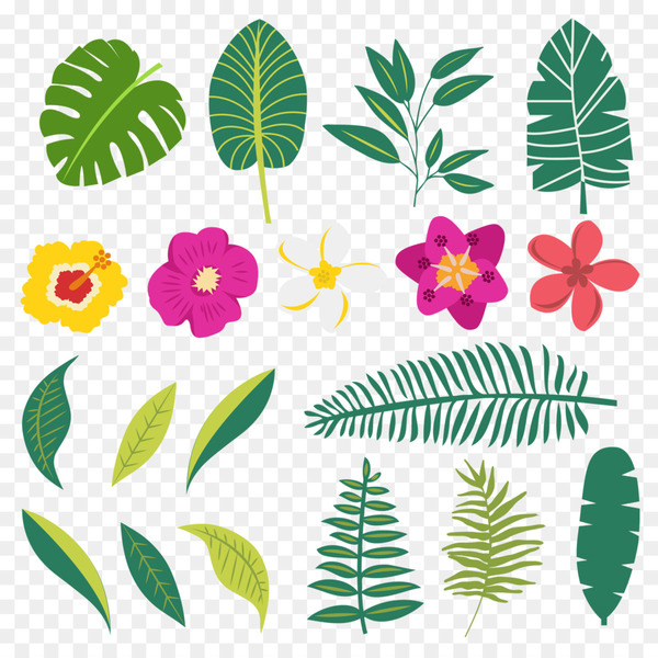 plants,leaf,download,graphic design,flower,designer,user interface design,plant,flora,organism,flowering plant,petal,line,tree,plant stem,grass,floral design,png