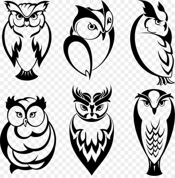 Owl tattoo by Kiwi Tattoo | Photo 21913
