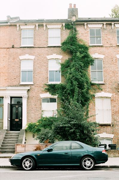 apartment,architecture,brick wall,building,car,city,daylight,exterior,facade,front,home,house,ivy,low angle shot,outdoors,pavement,plant,street,town,travel,tree,urban,vehicle,windows,Free Stock Photo