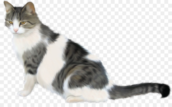 siamese cat,persian cat,american shorthair,british shorthair,ragamuffin cat,european shorthair,ragdoll,domestic shorthaired cat,kitten,dog,drawing,cat,mammal,vertebrate,small to mediumsized cats,felidae,carnivore,american wirehair,whiskers,aegean cat,norwegian forest cat,tail,american bobtail,american curl,polydactyl cat,tabby cat,cymric,png