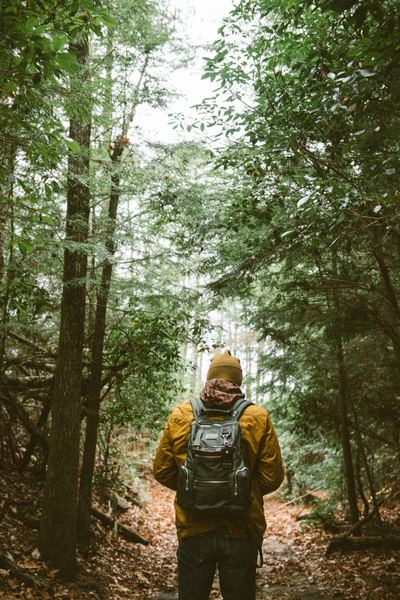 forest,wood,outdoor,man,male,guy,sunset,adventure,hiking,behind,back,person,backpack,rucksack,hat,beanie,hood,jacket,coat,forest,tree