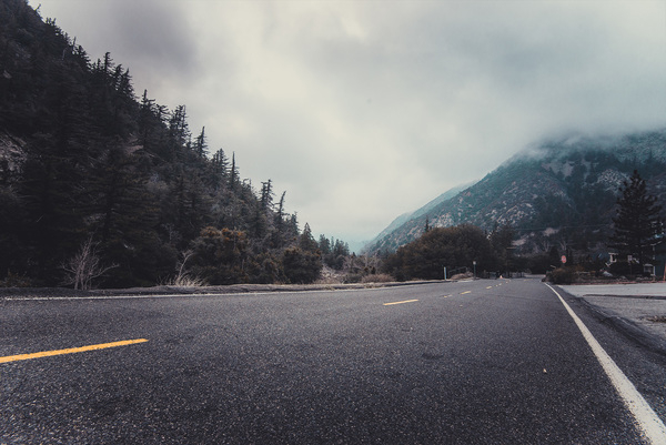 road,motorway,winter,cold,mountain,forest,yellow,lines,conifers,fir,fog,mist,highway,pine,trees,sky