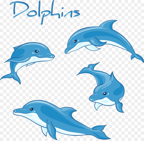 Dolphin Shorts Royalty-Free Images, Stock Photos & Pictures