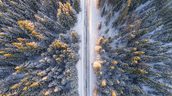 nature,landscape,aerial,woods,forest,road,snow,winter,cold,weather,travel,adventure