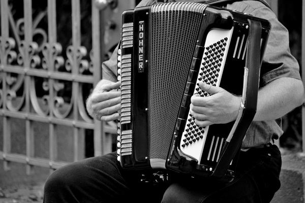 street musician,street music,street,performance,musician,musical instrument,music,hands,entertainment,black-and-white,accordion