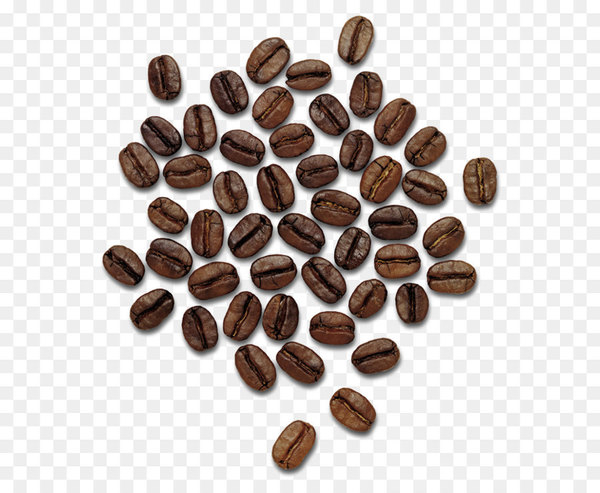 coffee,cafe,iced coffee,coffee bean,roasting,bean,coffee roasting,cocoa bean,flavor,the coffee bean  tea leaf,arabica coffee,commodity,superfood,nut,chocolate,food,hazelnut,nuts seeds,praline,ingredient,png