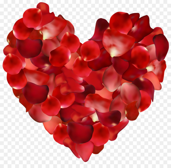 centifolia roses,petal,flower,heart,cut flowers,valentine s day,color,red,garden roses,flower bouquet,rose,png