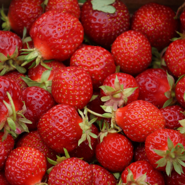 cc0,c1,strawberries,berries,red berries,strawberry,berry,free photos,royalty free