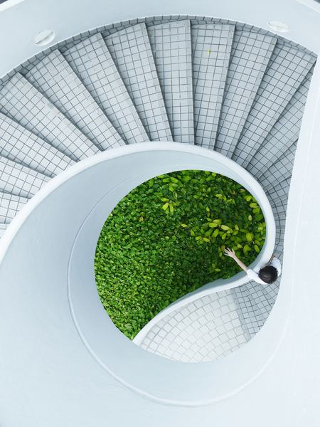 elga,green,architecture,architecture,building,minimal,architect,architecture,building,spiral staircase,wallpaper,android wallpapers,android backgrounds,lock screen background,white,staircase,spiral,plant,person,stair,stairway
