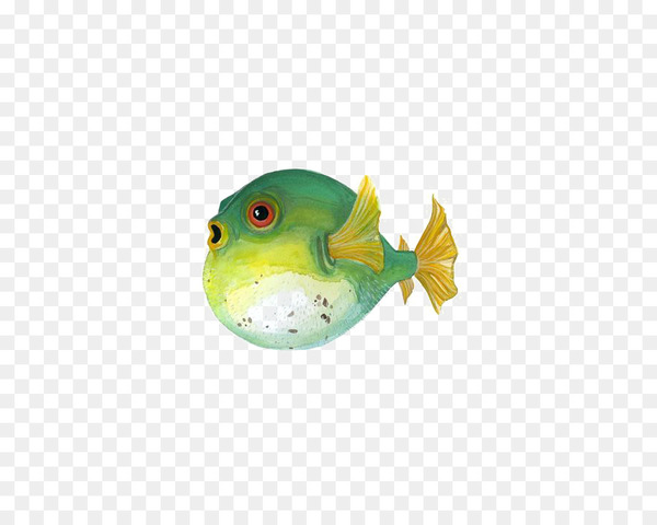 fugu,fish,painting,painted fish,printmaking,drawing,photography,art,green,material,frog,amphibian,fauna,tree frog,organism,ranidae,png