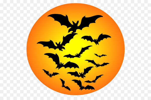halloween,bat,youtube,computer icons,halloween film series,art,leaf,orange,pumpkin,png