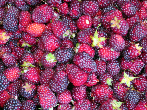 cc0,c1,raspberries,market,fruit,power,free photos,royalty free