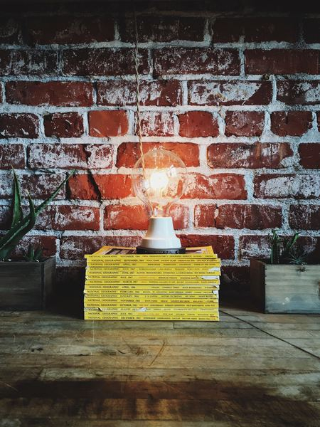 innovation,light,lightbulb,light,night,color,interior,red,book,light,brick,lightbulb,interior,background,plant,table,electric cord,cord,stack,bulb,book