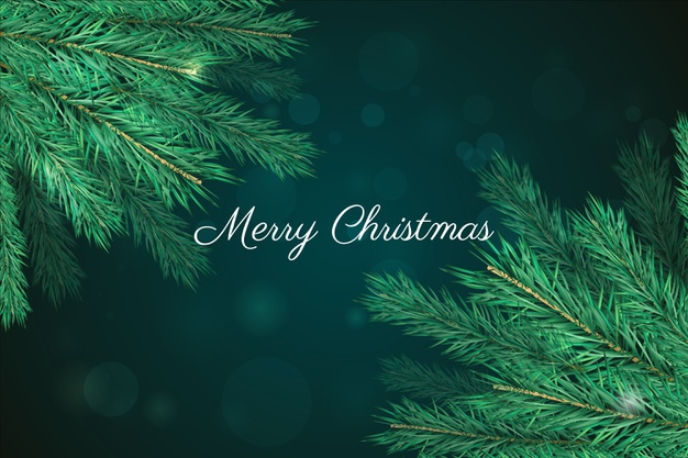 Background with Christmas Tree Branches, Vectors