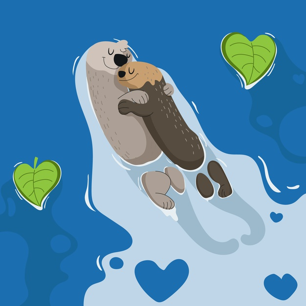 february 14th,14th,romanticism,otters,togetherness,falling,happy couple,february,romance,lovers,lovely,day,beautiful,together,romantic,valentines,celebrate,couple,happy,valentine,valentines day,animal,love,heart