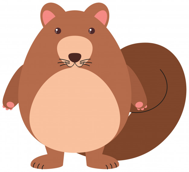simnple,adorable,mammal,clipping,creature,exotic,wildlife,living,clipart,set,object,clip,squirrel,path,picture,brown,funny,fun,drawing,tropical,graphic,animals,doodle,happy,smile,art,cute,comic,animal,cartoon,character,nature