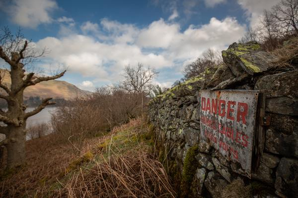 danger,sign,abandoned,building,nature,landscape,tree,clouds,wall,brick
