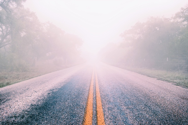 fog,mist,road,highway,winter,forest,trees,yellow lines,yellow,travel,car