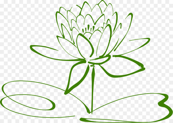 Free: Clip art Drawing Sacred Lotus Portable Network Graphics Image -  blossoms outline - nohat.cc