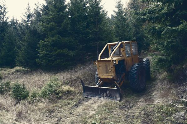 boreal,forest,wood,talonkoneet,construction,digger,itinera,construction,building,tractor,bulldozer,forest,tree,construction,landscaping,grass,deforestation,rural,farm,forrest,branch