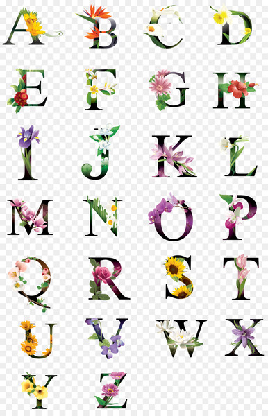 alphabet,letter,typography,encapsulated postscript,flower,typeface,download,flora,art,text,graphics,illustration,graphic design,design,pattern,line,font,clip art,icon,png