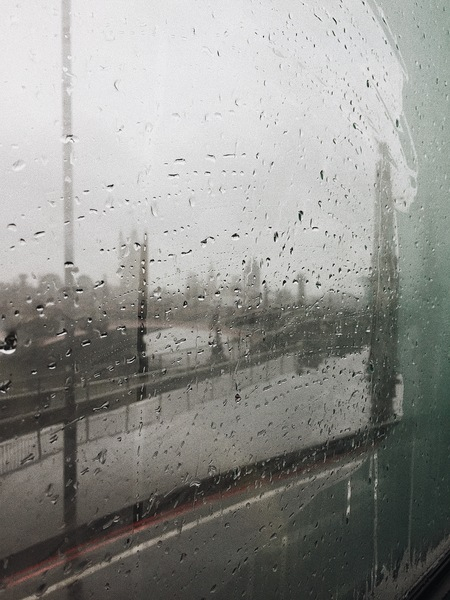 moist,moisture,rain,wet,window