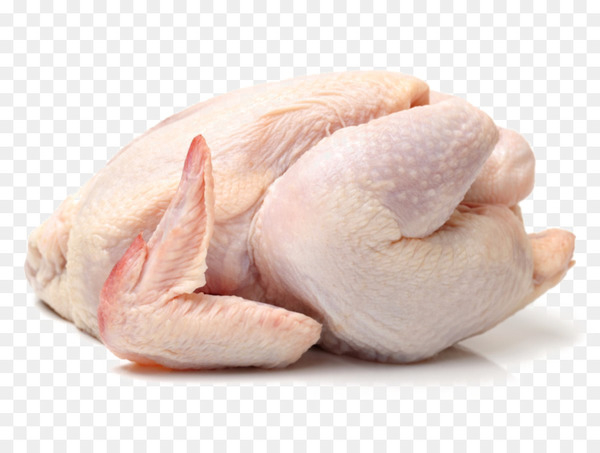 broiler,cornish chicken,chicken as food,meat,poultry,keema,egg,duck meat,food,lamb and mutton,fish,butcher,goat meat,pork,chicken,turkey meat,white cut chicken,animal fat,animal source foods,png