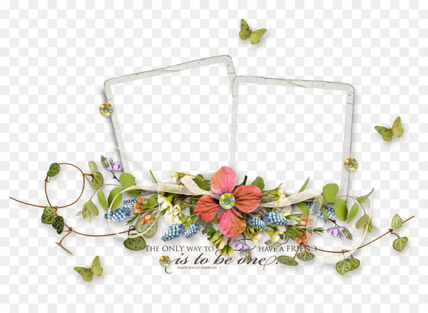 picture frame,flower,ornament,material,poster,flora,petal,floristry,flower arranging,floral design,png