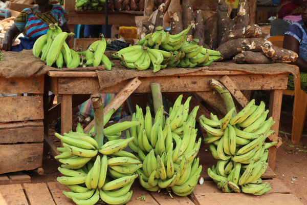cc0,c1,plantain,africa,banana,fruit,green,market,free photos,royalty free