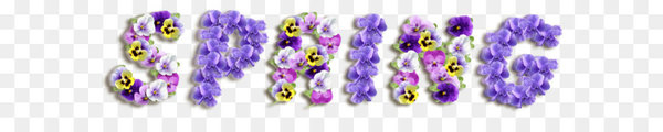 violet,spring framework,purple,photobook,flower,color,easter,spring,body jewelry,lavender,font,png