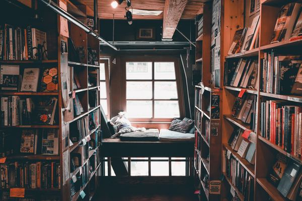 green,leaf,bookshelf,collection,book,wood,chill,wallpaper,sea,library,literacy,education,pillow,bookstore,reading place,cosy,window light,room,read,chill,cool,free pictures