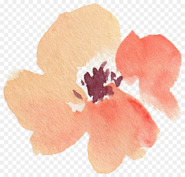 petal,chemical element,leaf,encapsulated postscript,watercolor painting,flower,picture frame,peach,flowering plant,png