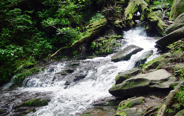 water,waterfall,stream,creek,river,rock,rocks,boulder,boulders,appalachian,mountain,gatlinburg,tennessee,moss