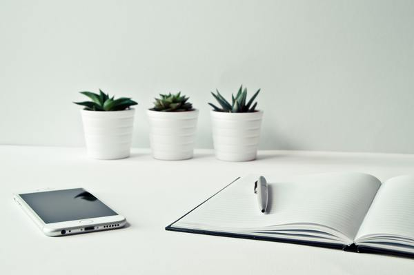 minimal,white,desk,mobile phone,device,technology,pot plant,nature,office,business,notepad,notebook