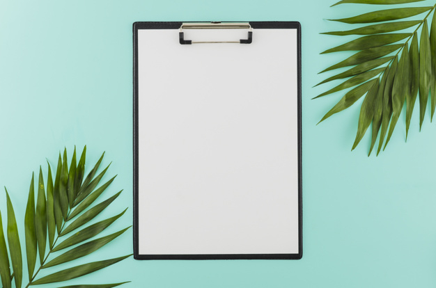 lay,seasonal,summertime,blank,flat lay,clipboard,concept,clip,top view,top,season,view,sunshine,workspace,vacation,desk,flat,white,holiday,sun,office,sea,beach,paper,template,summer,business
