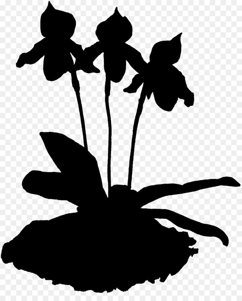 leaf,silhouette,plant stem,flowering plant,plants,black m,plant,botany,flower,blackandwhite,herbaceous plant,wildflower,perennial plant,png