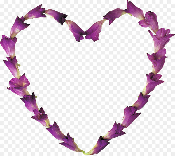 coffee,royaltyfree,stock photography,heart,drawing,photography,valentine s day,love,purple,petal,lilac,lei,png