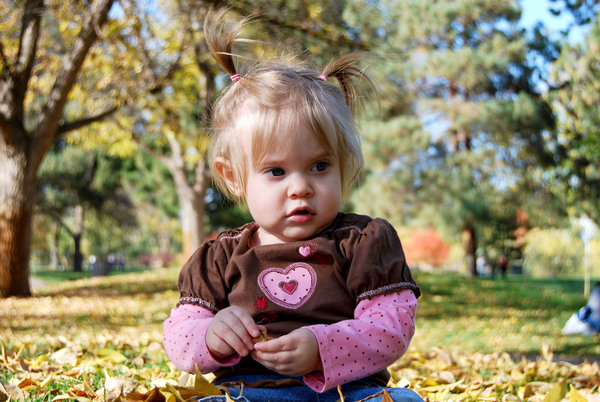 baby,girl,toddler,infant,fall,kid,family,leaves,cool,leaf,park,play,season,seasons,weather,autumn