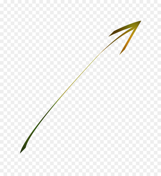 leaf,line,angle,plant stem,grasses,plants,grass family,plant,grass,png