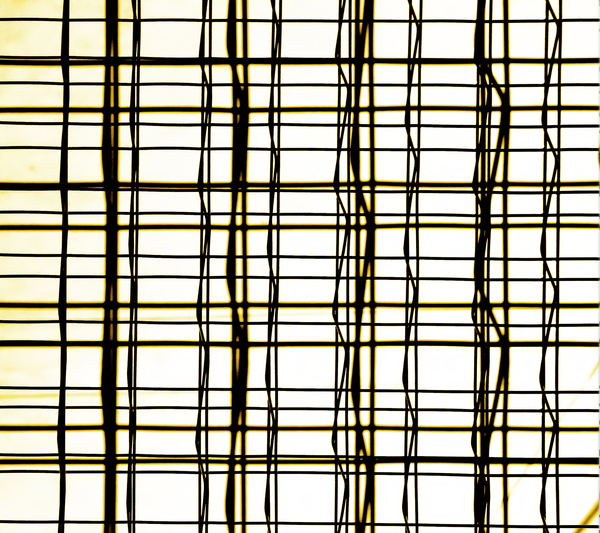 fabric,fabrics,abstract,abstracts,art,artwork,fine,texture,textures,pattern,patterns,background,backgrounds,diagonal,line,lines,grid,grids,cross,crossing,black,white